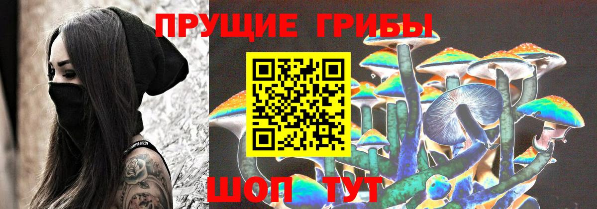 Псилоцибиновые грибы прущие грибы Будённовск