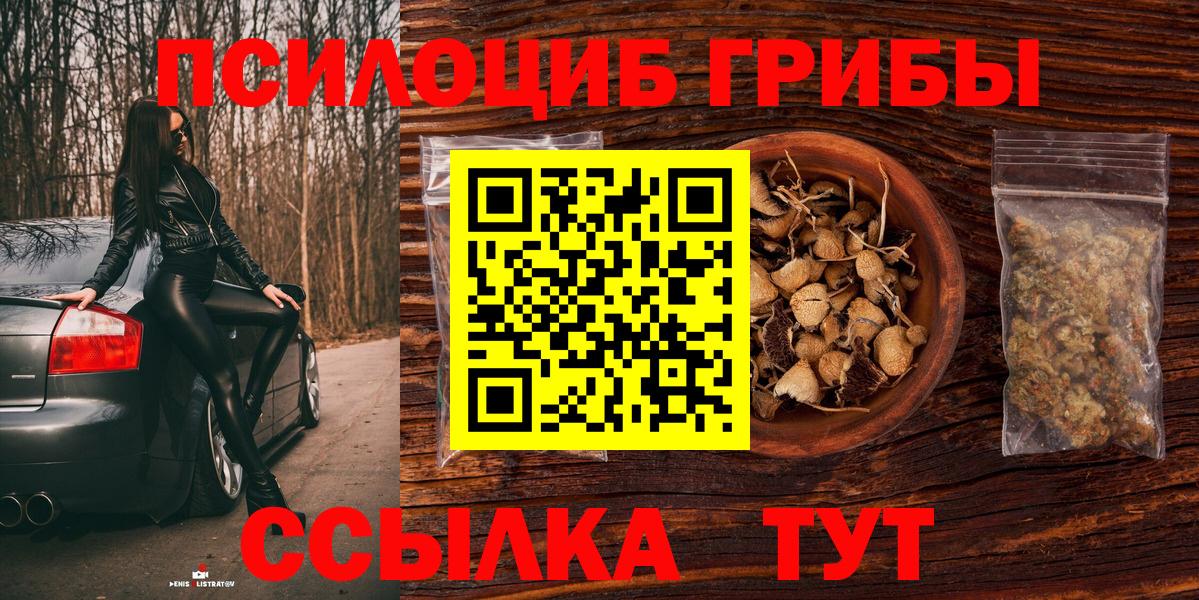 Будённовск  Псилоцибиновые грибы Psilocybe  Вход с VPN  Псилоцибиновые грибы MAGIC MUSHROOMS 